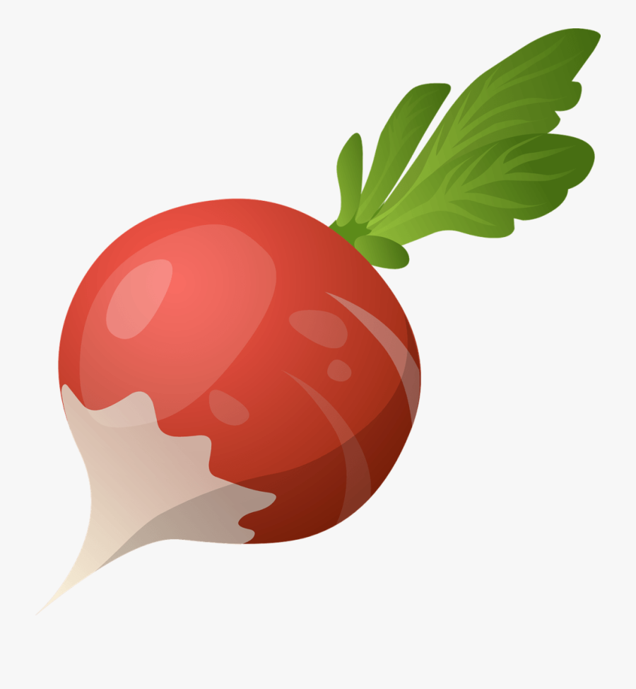 Red Globe Radish That Can Be Planted On A Vegetable - Radish Cartoon Transparent Background, Transparent Clipart