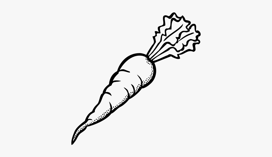 Farms Near Ottawa That Grow Vegetables With Love And - Carrot Black And White, Transparent Clipart