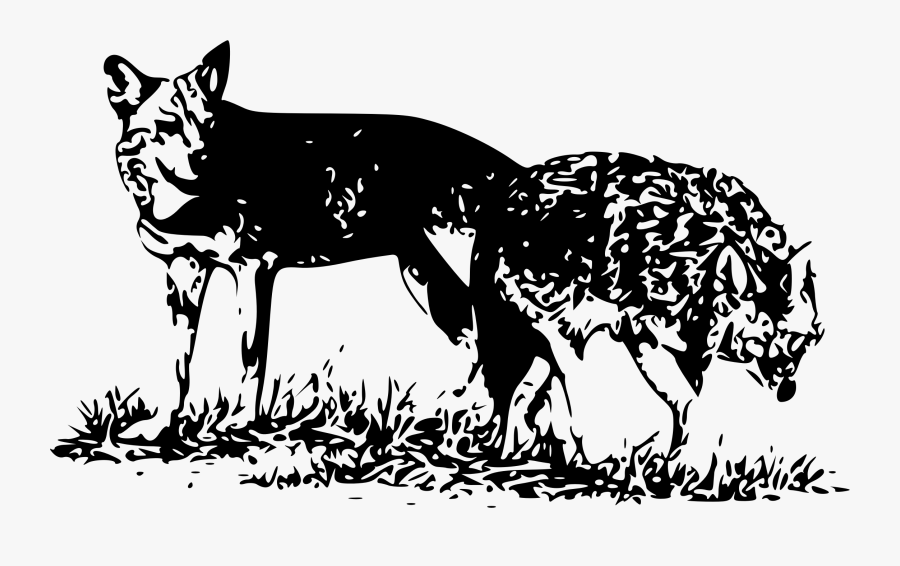 Two Wolves - Rod Coronado, Transparent Clipart