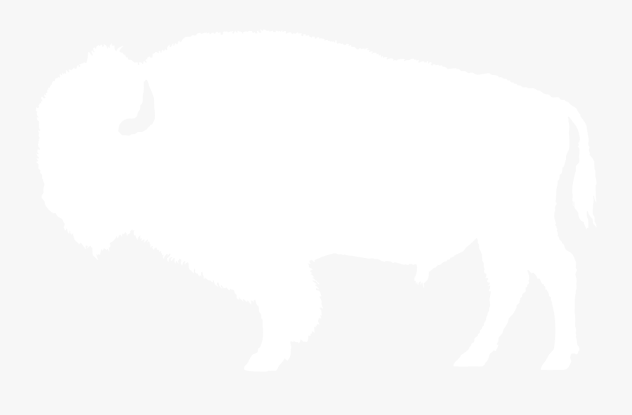 Clip Art Bison Outline - Outline Image Of Bison, Transparent Clipart