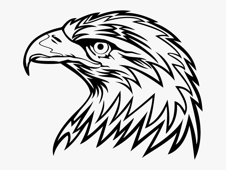 Eagle Head Png Picture Eagle Head Black And White Clipart Free