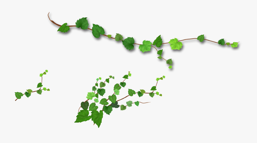 Branch Leaf Tree - Realistic Green Leaves Png, Transparent Clipart