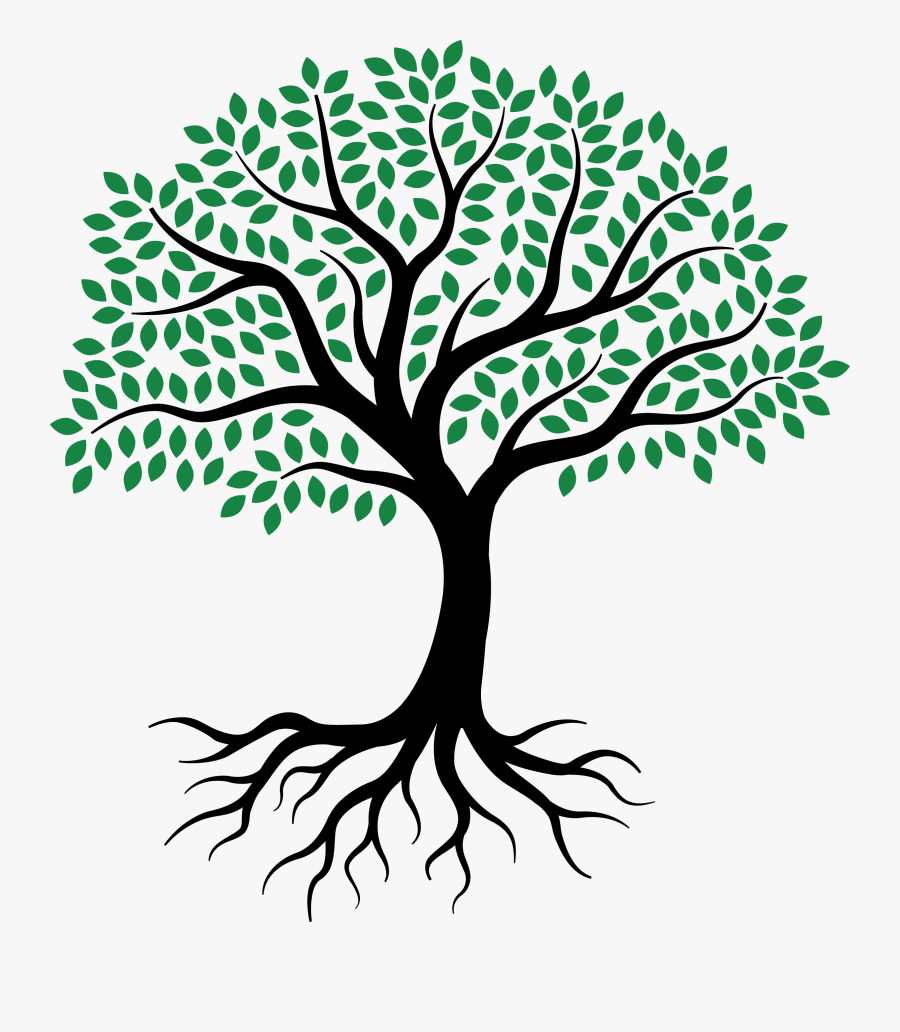 Drawing Root Tree Sketch - Tree Of Life Sketch, Transparent Clipart