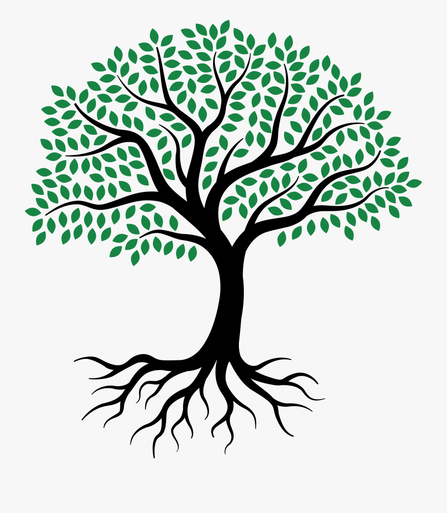 Drawing Root Tree Sketch - Tree Of Life Sketch , Free Transparent ...