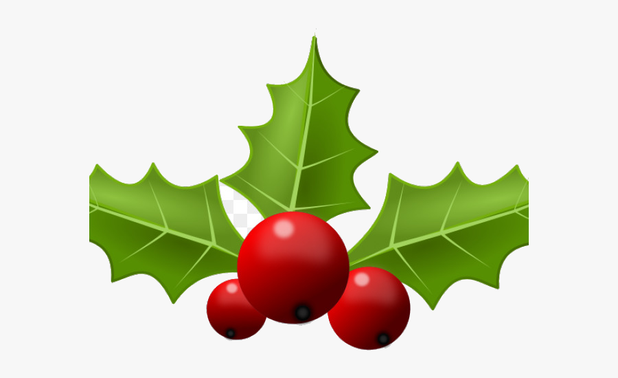 Holly Leaf Portable Network Graphics Clip Art Free - Transparent Background Bough Of Holly, Transparent Clipart