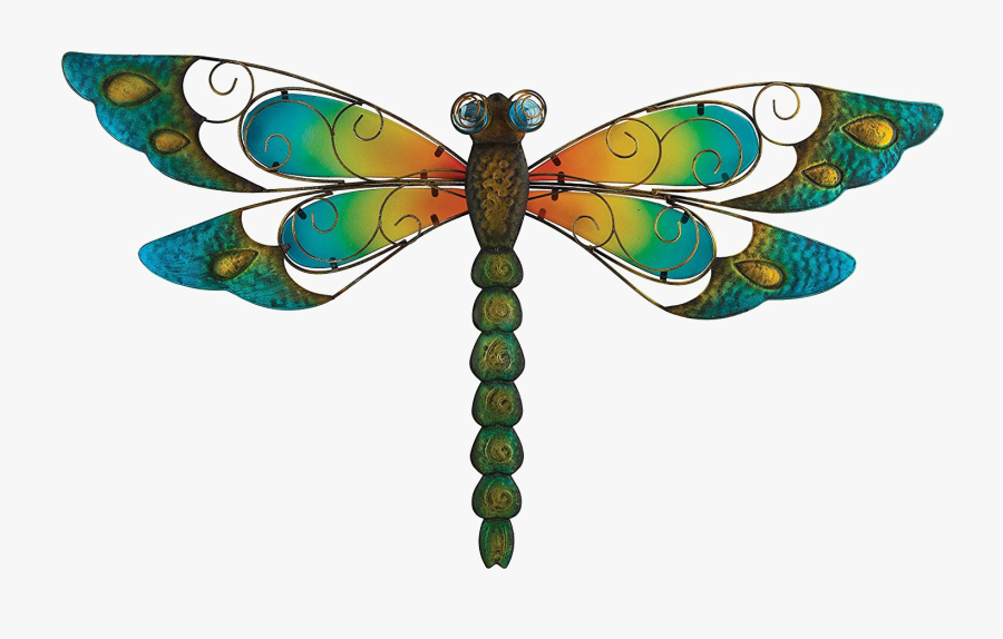 Dragonfly Png Image - Portable Network Graphics, Transparent Clipart