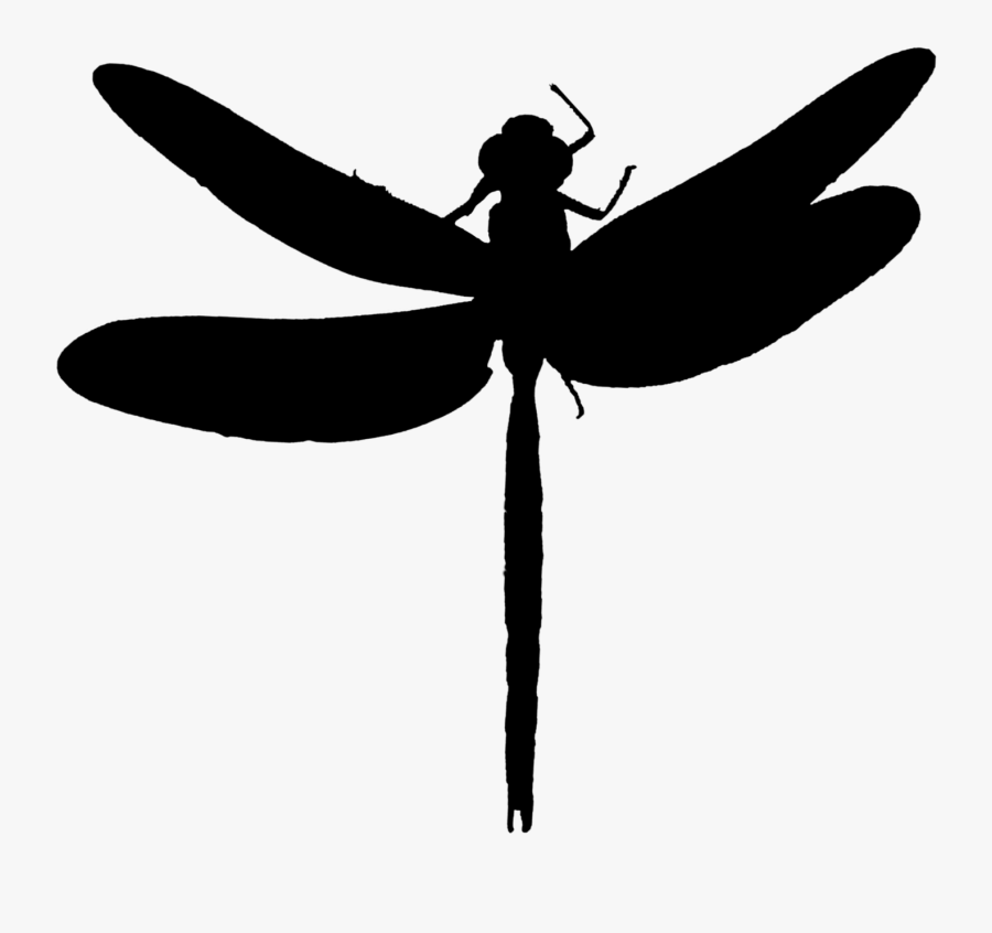 Dragonfly Insect Clip Art Line Silhouette - Dragonflies Silhouette, Transparent Clipart