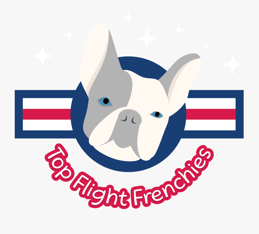 Image17 - French Bulldog, Transparent Clipart