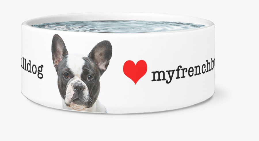 Boston Terrier, Transparent Clipart