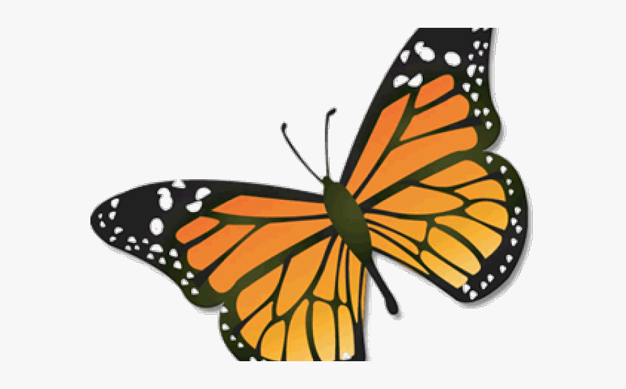 Black And White Free On Dumielauxepices Net August - Clipart Monarch Butterfly, Transparent Clipart