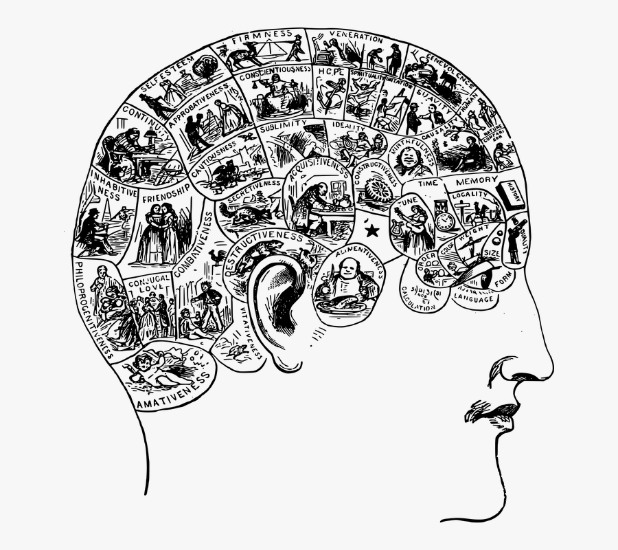 Brain Narrative, Transparent Clipart