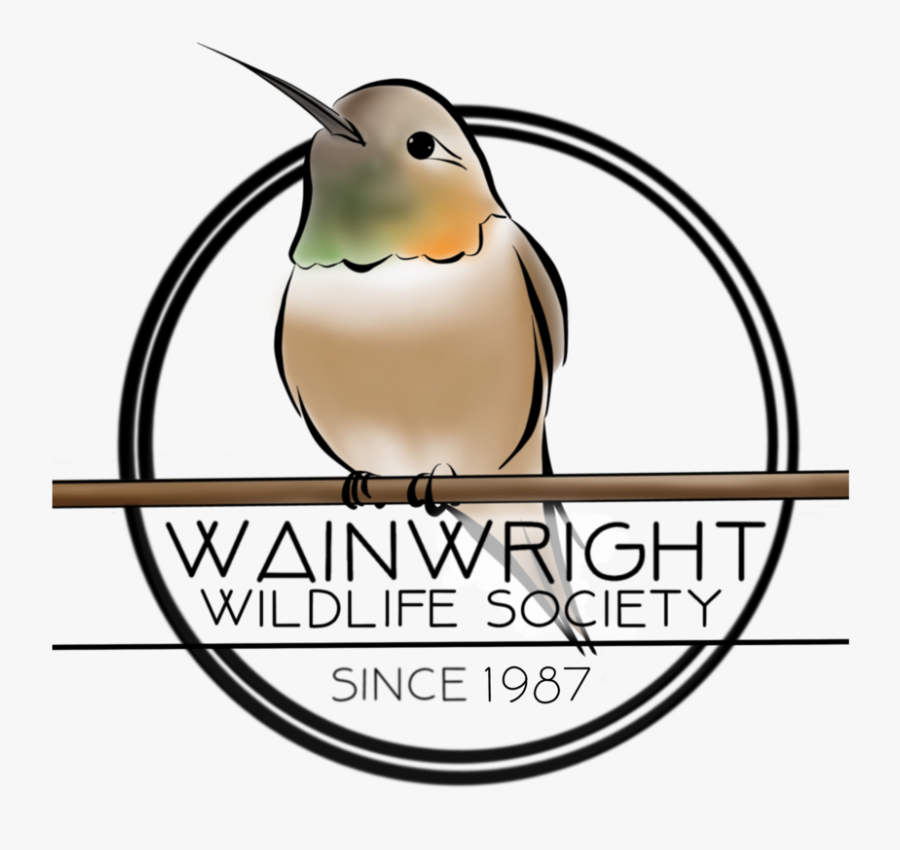 Wainwright Wildlife Society, Transparent Clipart