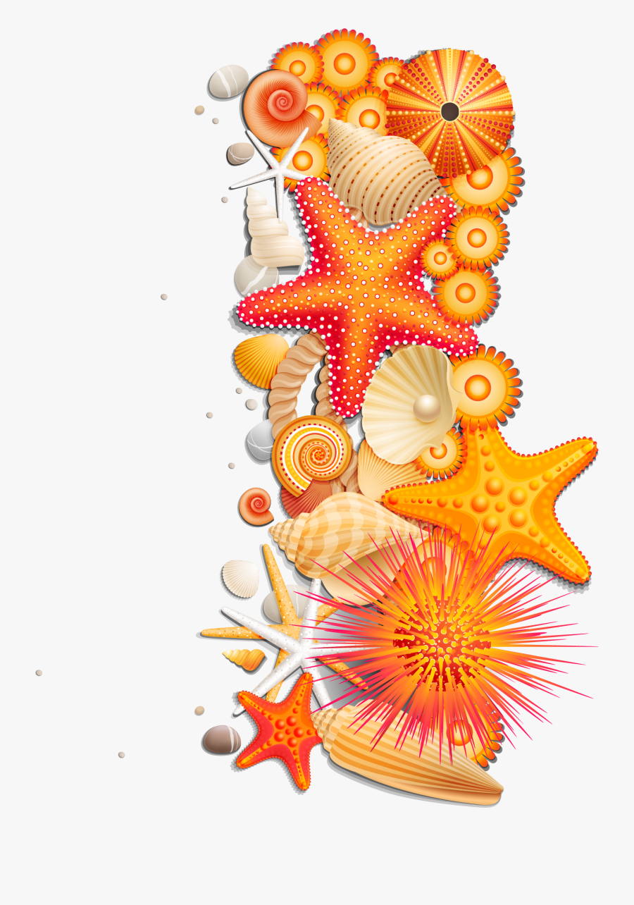 Sea Stars Shells Png, Transparent Clipart