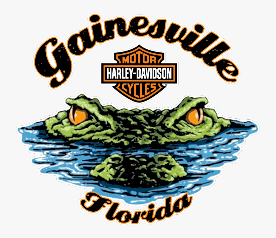 Welcome To Gainesville Harley-davidson® - Harley Davidson, Transparent Clipart