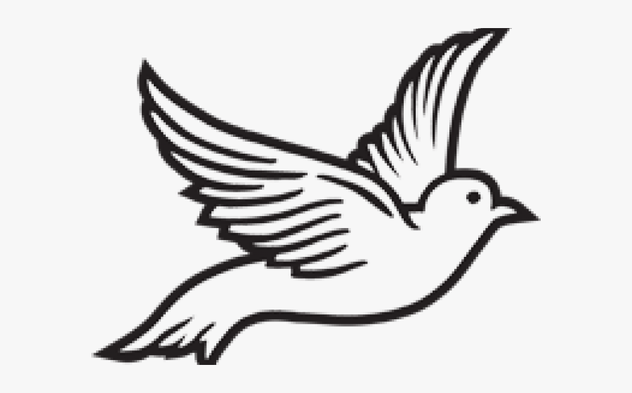 Dove Clipart, Transparent Clipart