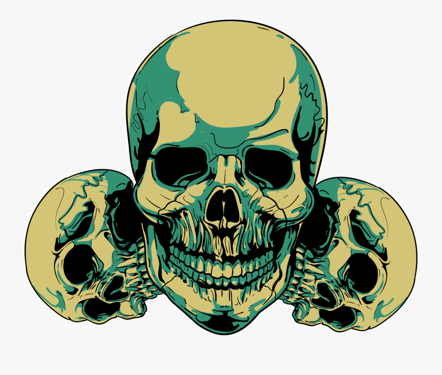 Skull Clip Art - Skull Cut In Half, Transparent Clipart