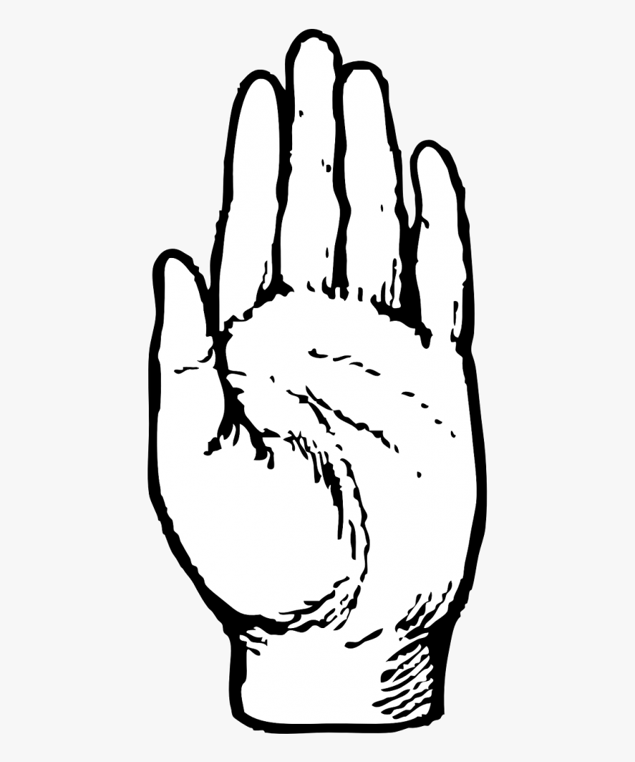 Left Hand - Body Parts Hand Worksheets, Transparent Clipart