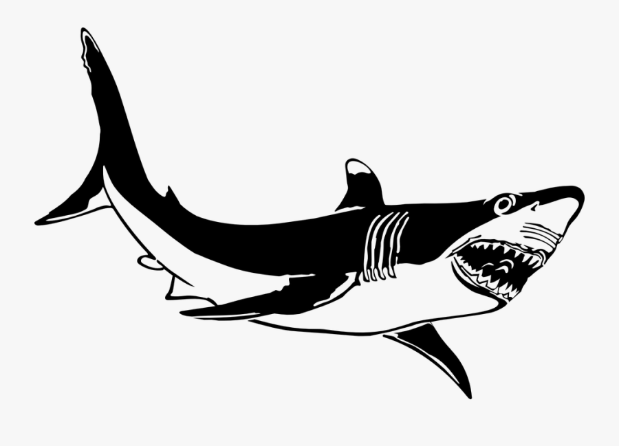 Shark Black And White Free Vector Graphic Shark Animal - Habitat Of Animals Worksheet, Transparent Clipart