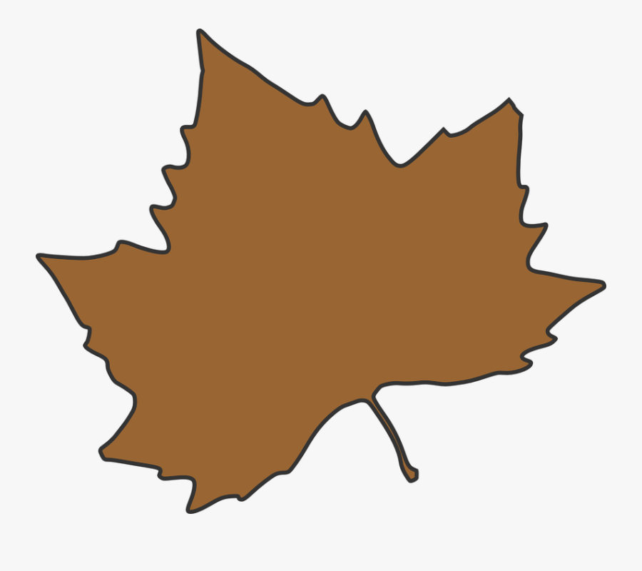 Transparent Leaves Drawing Png - Fall Maple Leaf Clip Art, Transparent Clipart