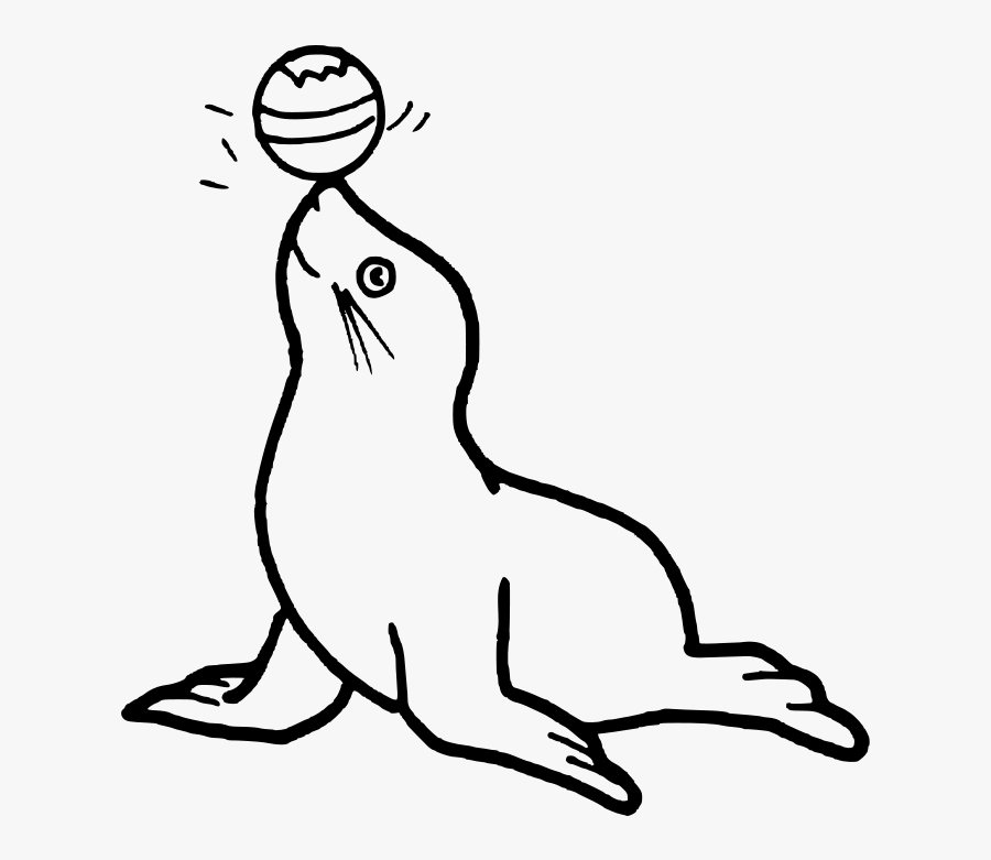 Circus - Seal - Clipart - Dibujo De Una Foca, Transparent Clipart