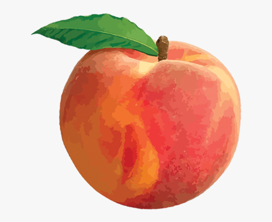 Peach Clipart Transparent Background - Peach Png , Free Transparent