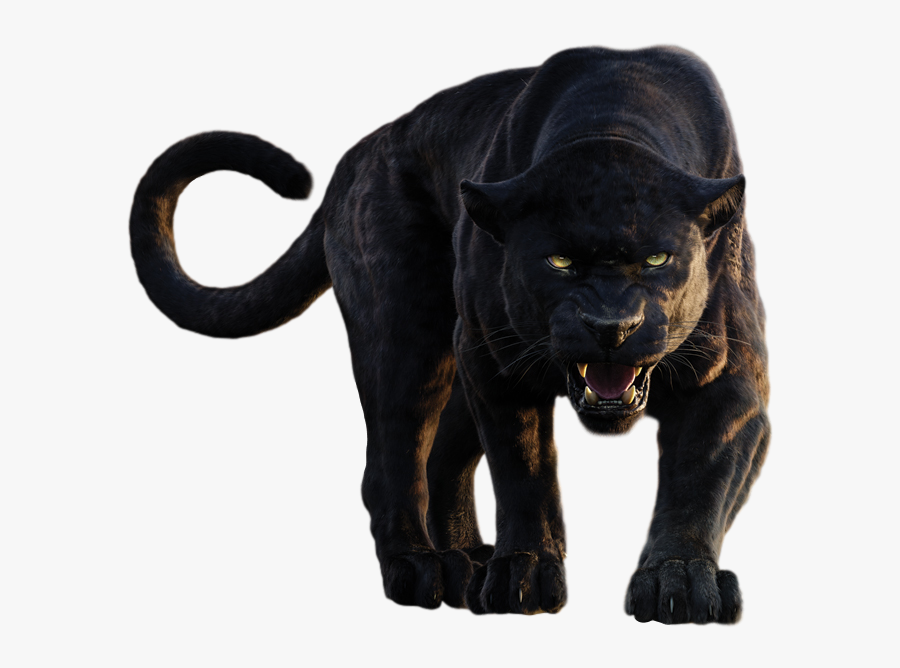 Panther Png Clipart - Jungle Book Bagheera Movie, Transparent Clipart