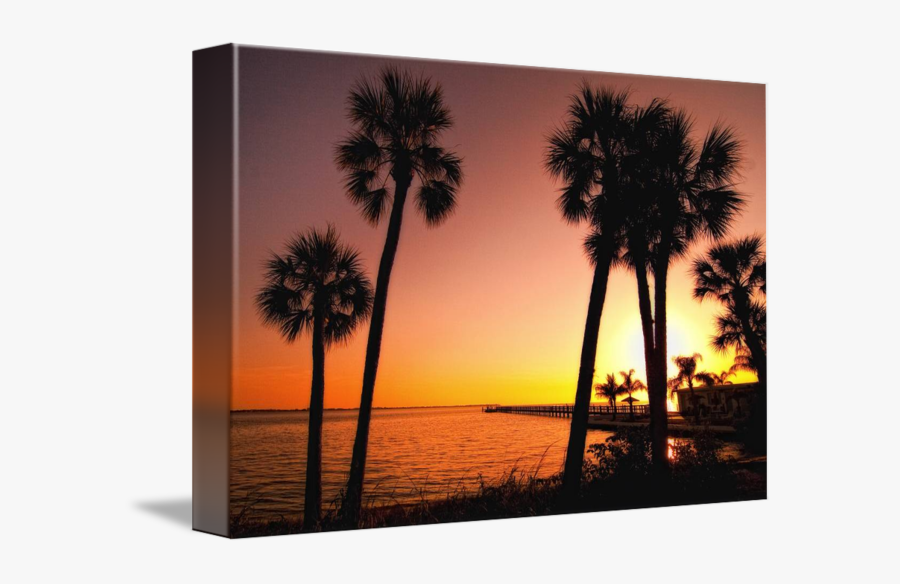 Clip Art Florida Palm Trees Sunset - Sunset, Transparent Clipart