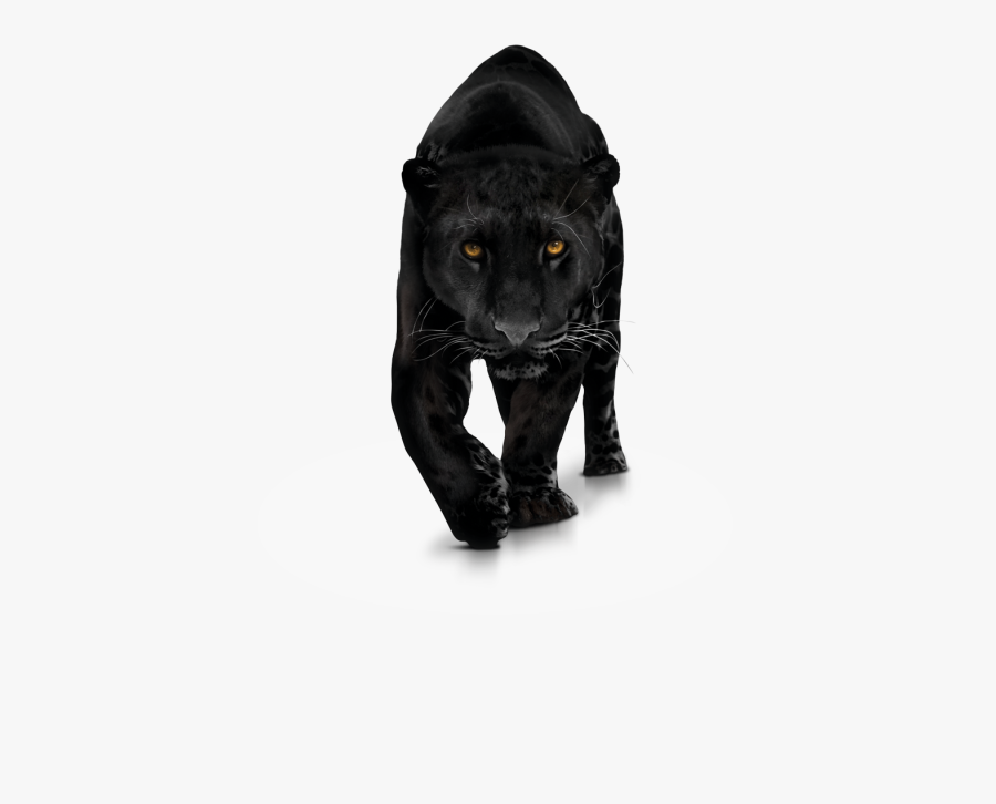 Black Panther Png Transparent Images - Transparent Panther Png, Transparent Clipart