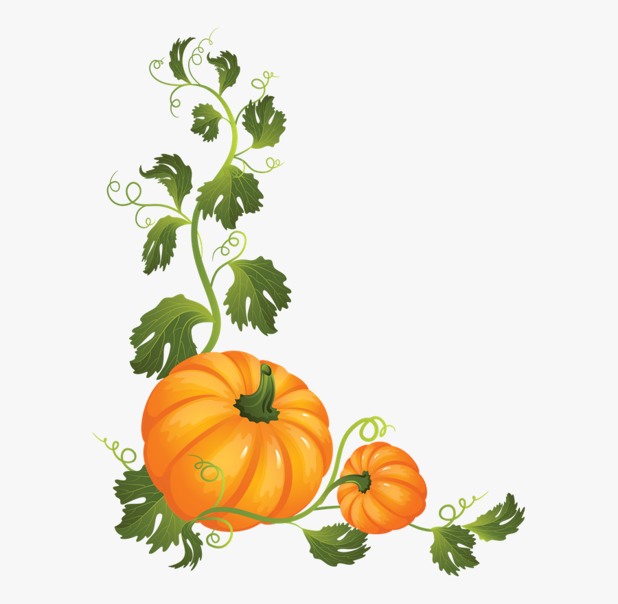 Zibi Scrap Halloween Pumpkins, Fall Pumpkins, Fall - Pumpkin On A Vine Clipart, Transparent Clipart