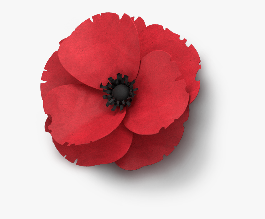 Poppy Flower Veterans Day - Remembrance Poppy Png , Free Transparent