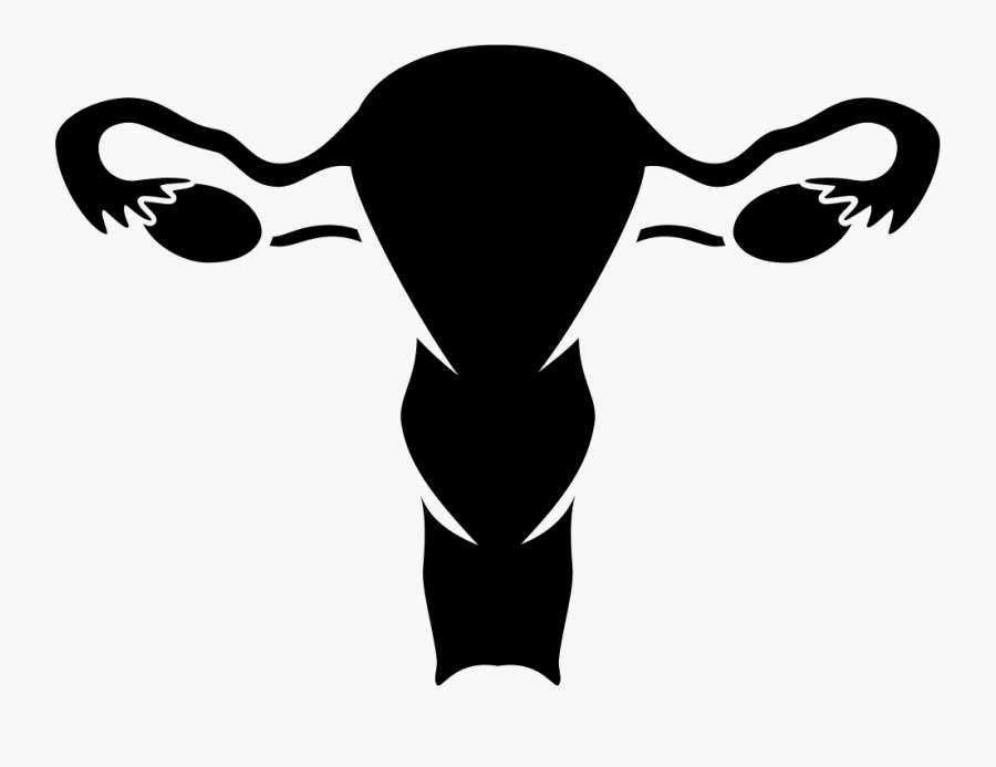 Weights - Female Transparent Reproductive System, Transparent Clipart