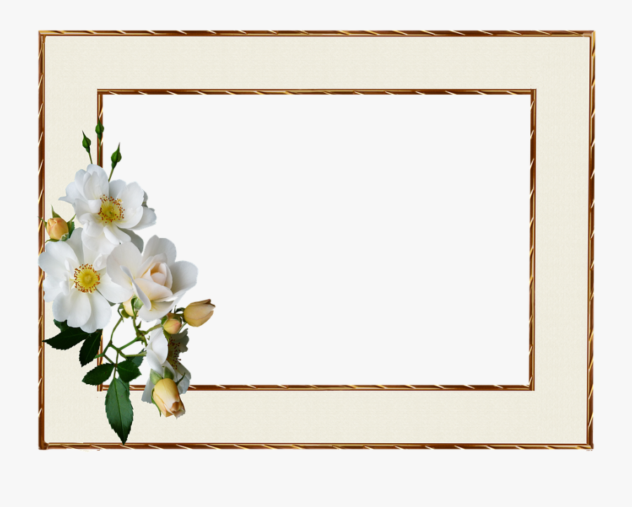 Frame, Gold Edge, White Rose - White Roses Gold Frame, Transparent Clipart