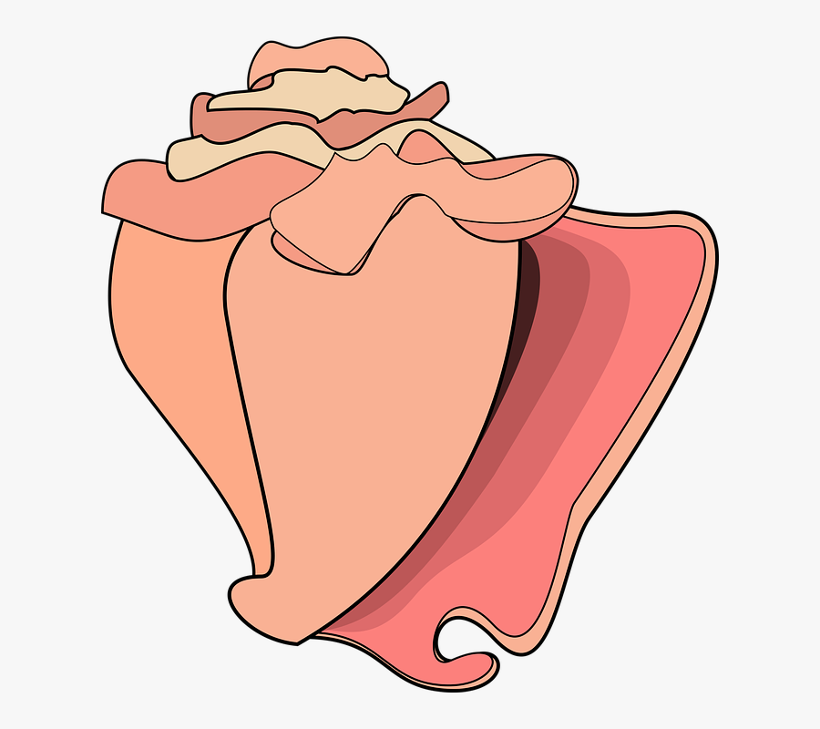 Graphic, Conch, Conch Shell, Shell, Ocean, Beach - Cartoon Conch Shell Png, Transparent Clipart