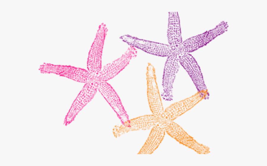 Transparent Starfish Vector Png - Turquoise Starfish Clipart, Transparent Clipart