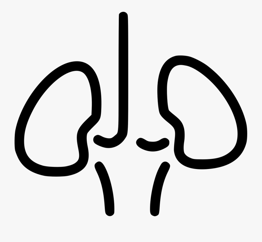 Kidneys Svg Png Icon - Calligraphy, Transparent Clipart