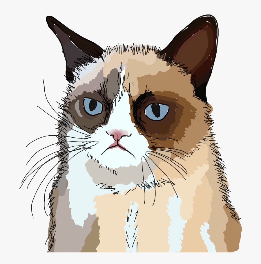 #freetoedit #grumpy #cat #grumpycat #drawing - Grumpy Cat, Transparent Clipart