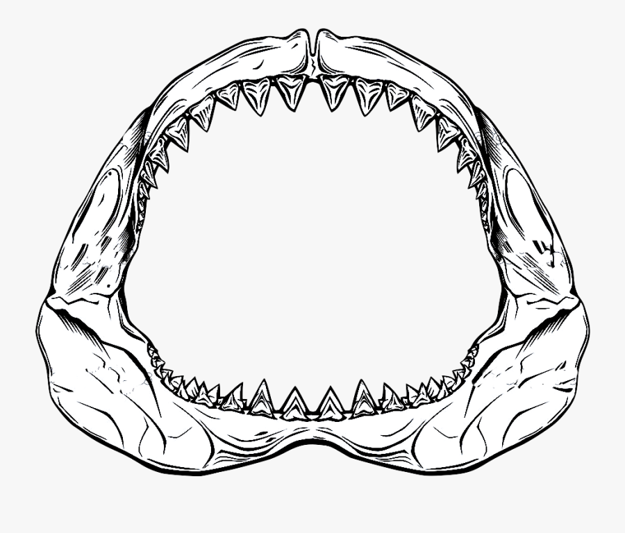 Shark Png Transparent Images - Shark Jaws Clipart, Transparent Clipart