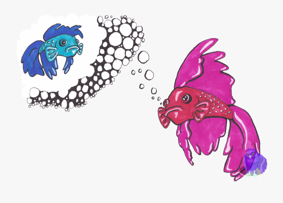 So Betta Fish Are My Favorite Fish - Betta Fish Png Clipart, Transparent Clipart