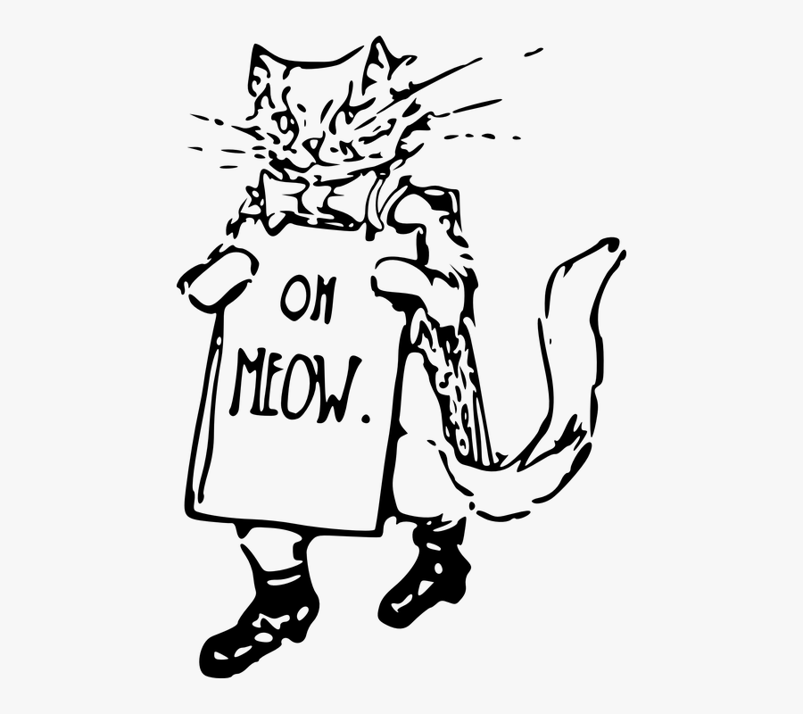 Cat, Kitten, Holding, Walking, Whiskers - Kitten, Transparent Clipart