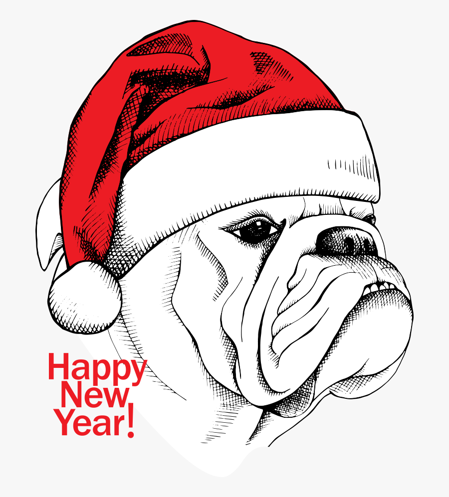 Transparent Bulldog Face Png - Bulldog Drawing With Crown, Transparent Clipart