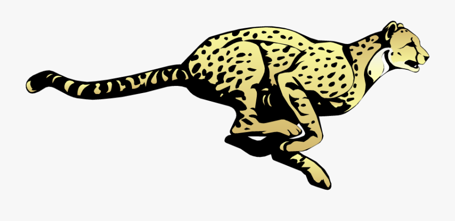 Elementary School Cheetah Mascot, Transparent Clipart
