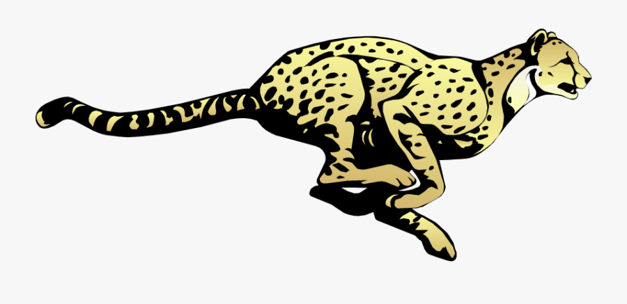 Elementary School Cheetah Mascot , Free Transparent Clipart - ClipartKey