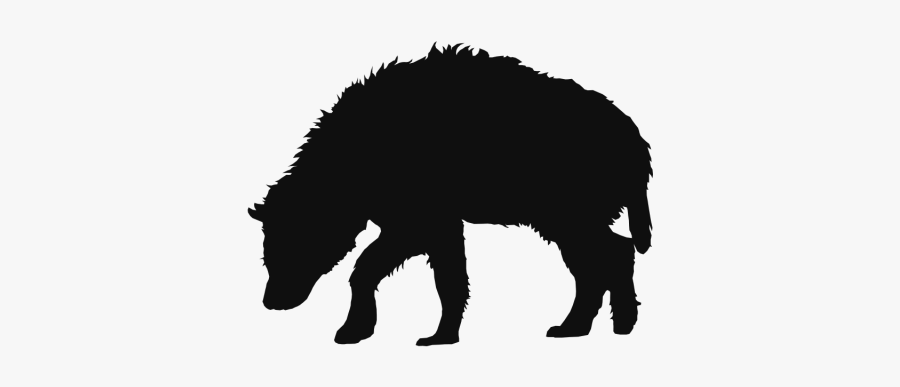 Wolf Drawing Clipart Mascot - American Black Bear, Transparent Clipart