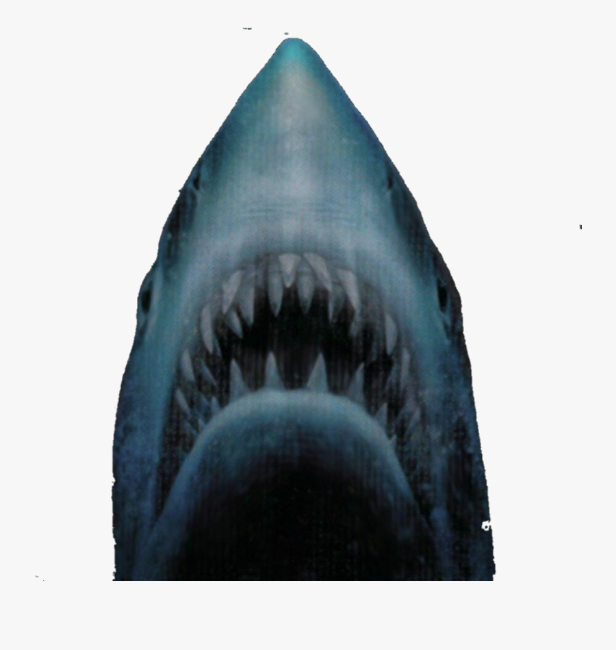 #jaws #shark - Jaws Shark Png, Transparent Clipart