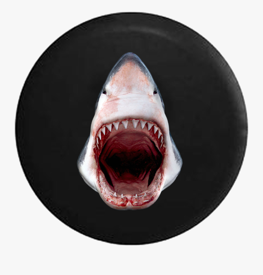 Great White Shark Jaws Open Razor Sharp Teeth Jeep - Shark Bite Close Up, Transparent Clipart