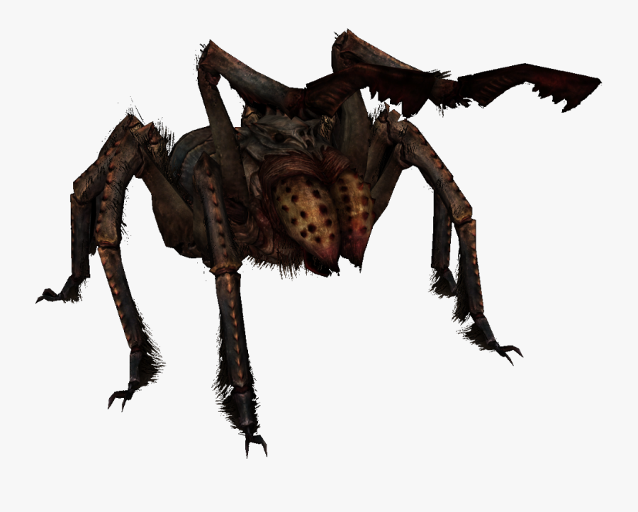 #skyrim #elderscrollsv #elderscrolls #spider #ugly - Giant Spider Transparent Background, Transparent Clipart