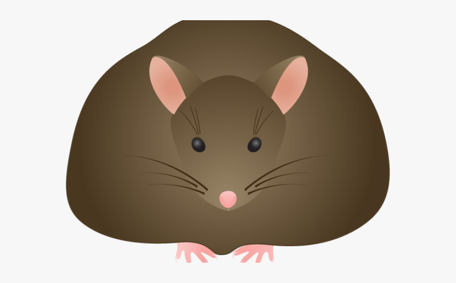 Rat Clipart Field Mouse - Cartoon, Transparent Clipart
