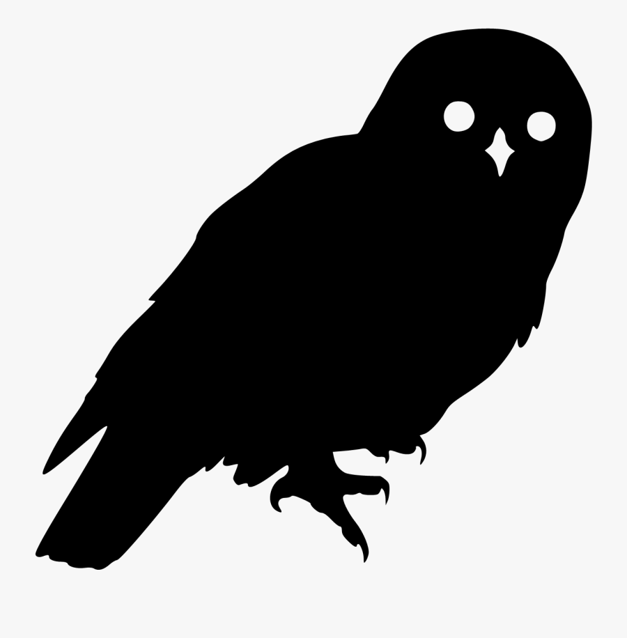 Download Owl1 Harry Potter Hedwig Silhouette Free Transparent Clipart Clipartkey