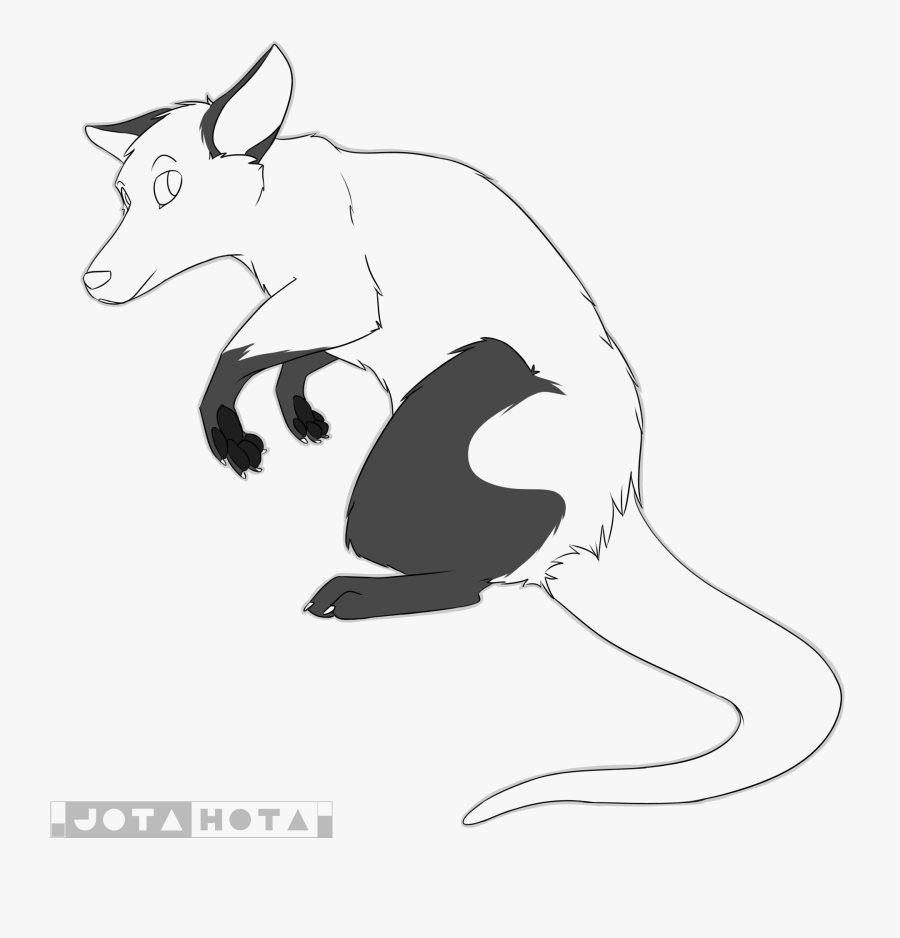 Opossum Lineart - Possum Lineart Png, Transparent Clipart