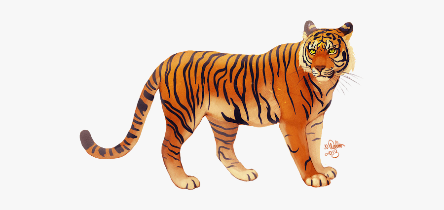 Cartoon Tiger Png, Transparent Clipart